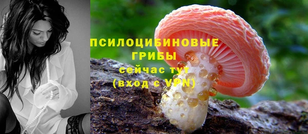 ГАЛЛЮЦИНОГЕННЫЕ ГРИБЫ Алзамай