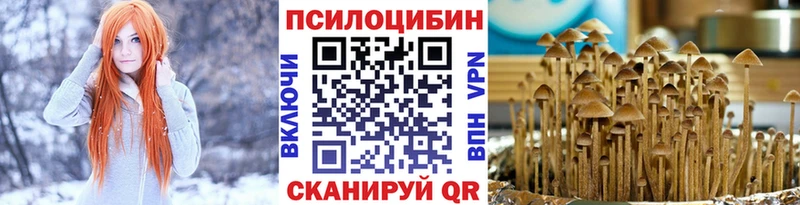 Псилоцибиновые грибы Psilocybe ссылка на мегу Коломна